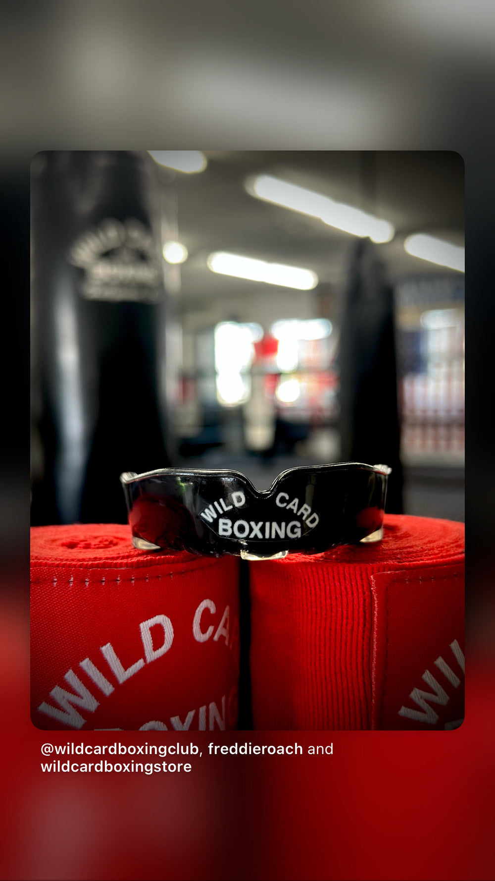 Wild Card Boxing Single-Guard Mouthpiece