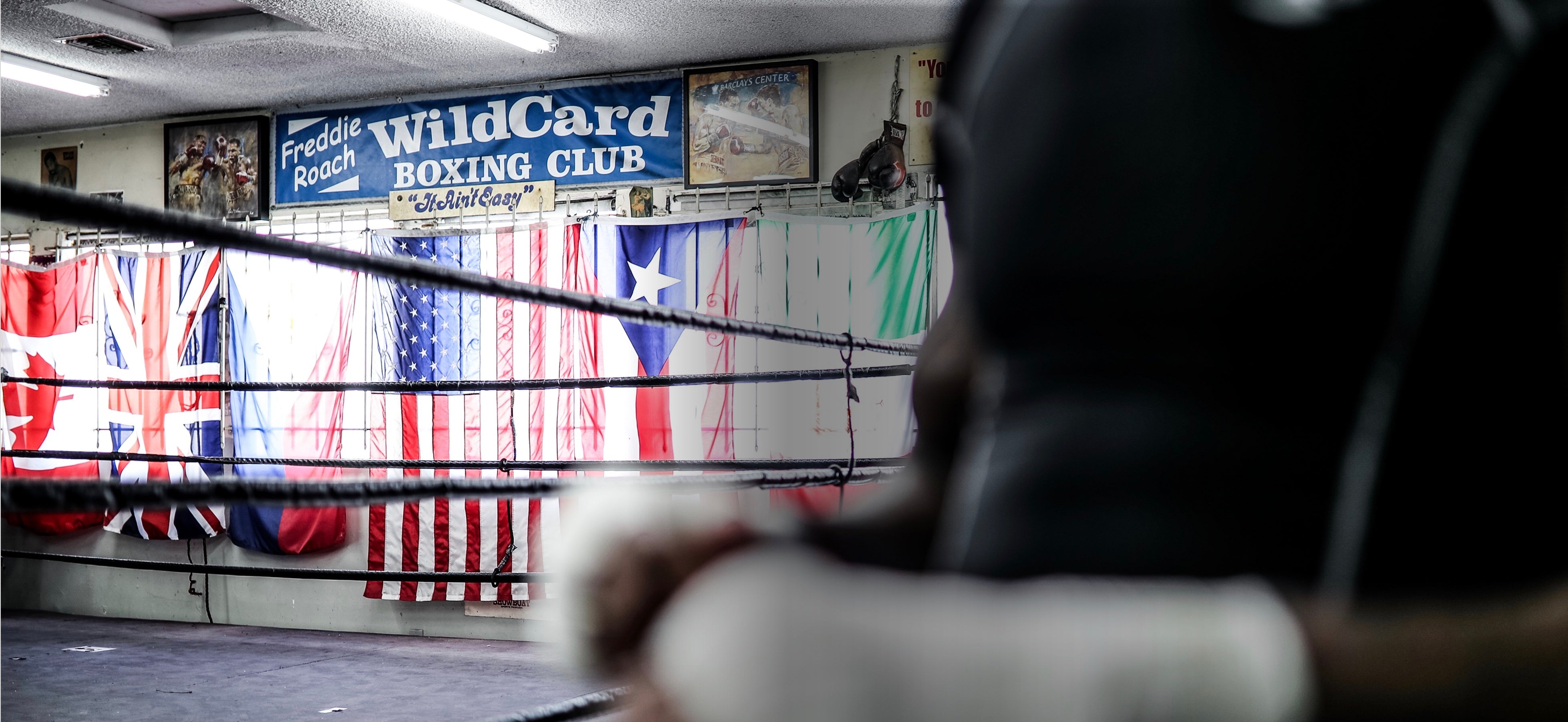 Wild Card Boxing wild-card-boxing