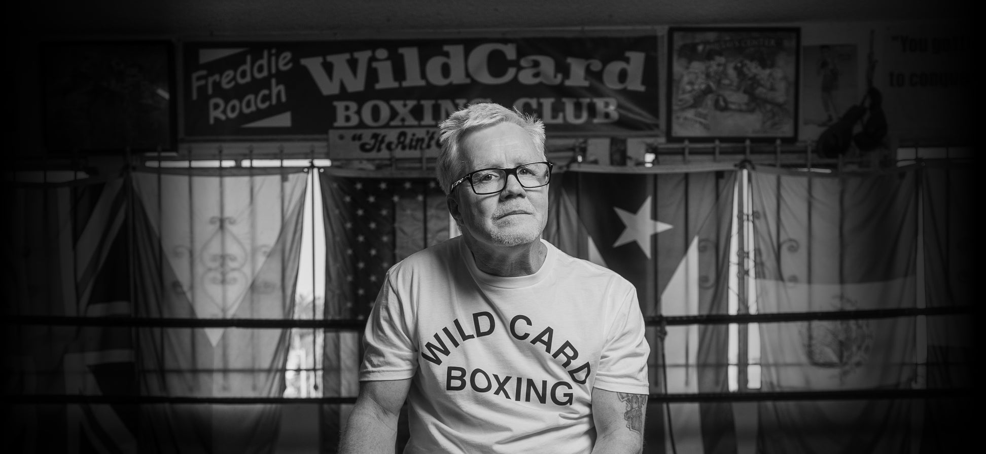 wild-card-boxing