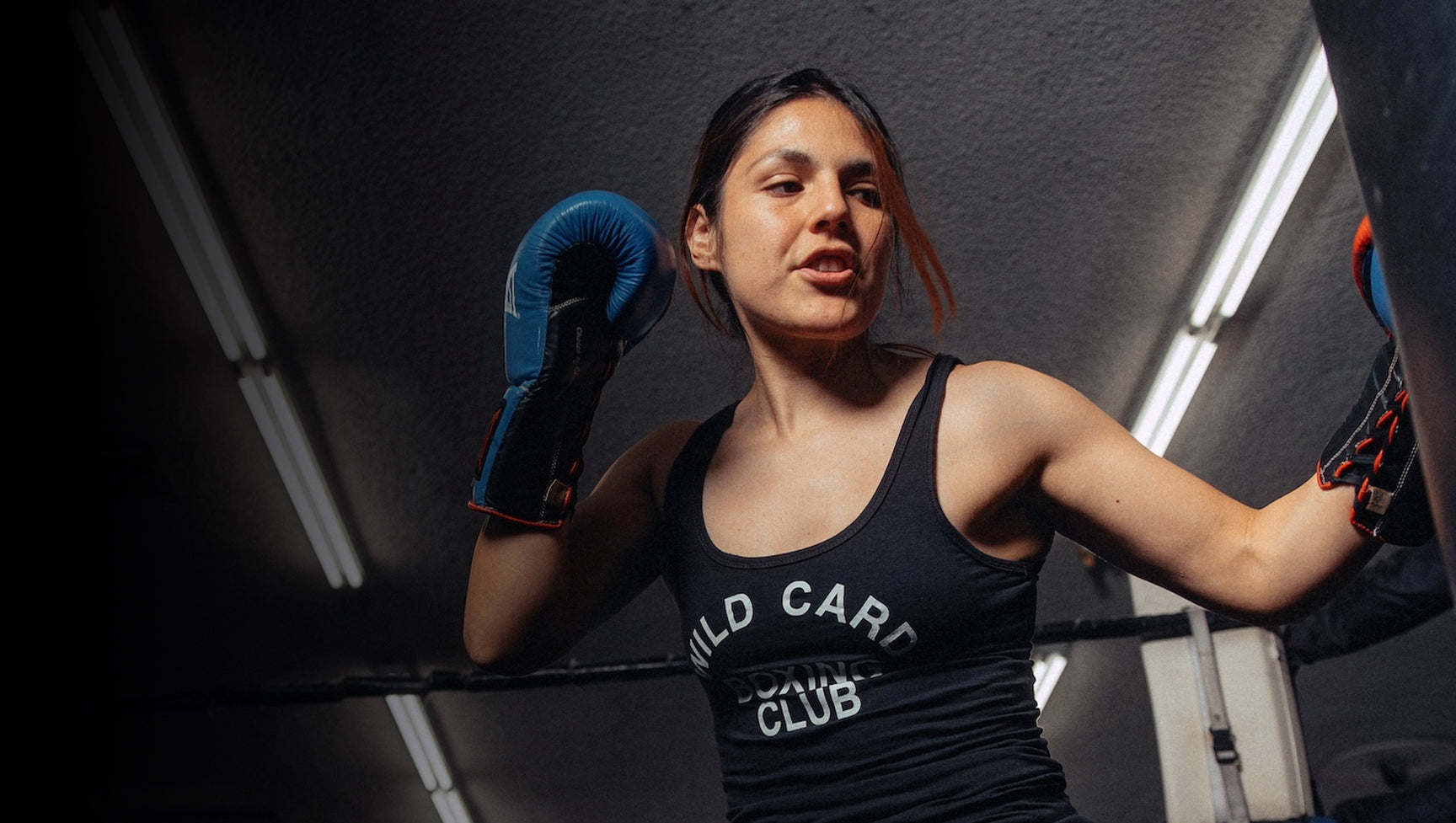 Wild Card Boxing wild-card-boxing